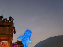 -珠海长隆海洋王国