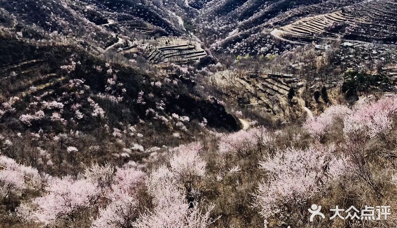 北京市门头沟区十字道村让你惊艳的春天