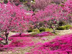 -石岛赤山风景区