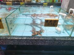 -天然居·漳港海鲜·海景餐厅(南澳总店)