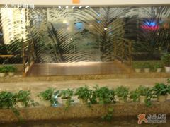 环境-茶马古道(大悦城店)
