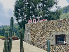 -MOJ coffee(瓯海泽雅水碓坑店)