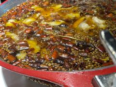 -雲蜀龙阁·金牌水煮鱼(方庄店)