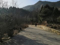 -北京鹫峰国家森林公园