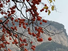 -云丘山景区