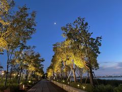 -春花秋色城市公园