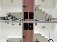 -十年猫舍·猫咪专门店(普陀店)