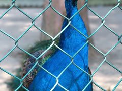 -南京金牛湖风景区