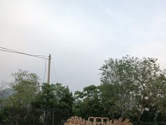 -十三陵水库