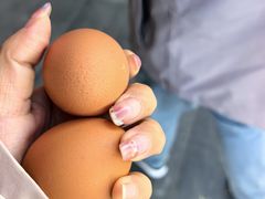 -马市街食它汤店(解放路店)