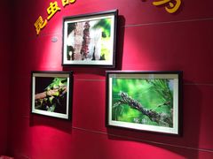 -上海昆虫博物馆