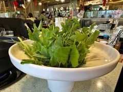 豌豆尖-烹然四季椰子鸡火锅(团结湖总店)