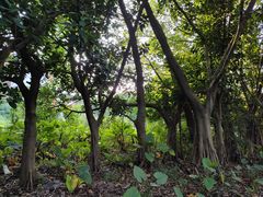 -华南师范大学(广州大学城校区)