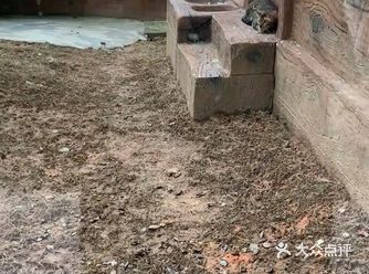 喵身无憾，毕竟拥有过这么大的院子～