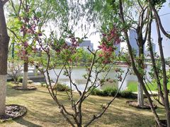 -西海子公园