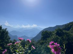 -太平万花山景区