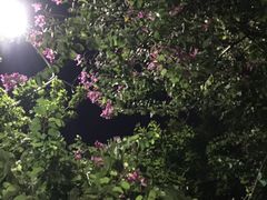 -星巴克(深圳罗湖书城店)