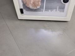 -艾贝尔宠物医院 ·中兽医·宠保定点(北门桥店)