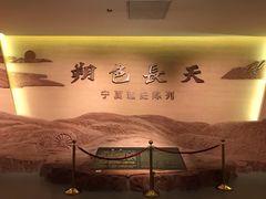 -宁夏博物馆