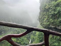 -鹿院坪生态旅游景区