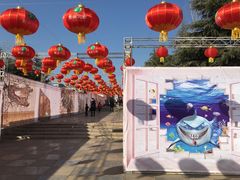 -洛阳郁金香牡丹园