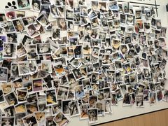 -瑞派·关忠动物医院·猫专科·犬专科(三环新城店)