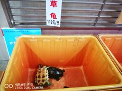 -荔城生鲜盛宴(番禺旗舰店)
