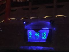 -芜湖方特东方神画