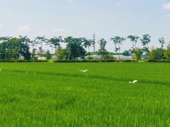-嘉北郊野公园