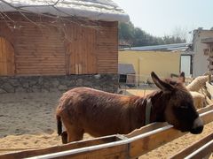 -HERRE·FARM 赫尔露营农场·团建聚会包场