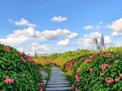 -深圳龙华星河COCO City(民治店)