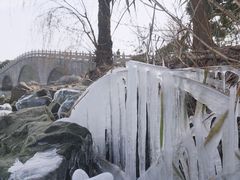 -渤公岛生态公园