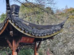 -杭州植物园