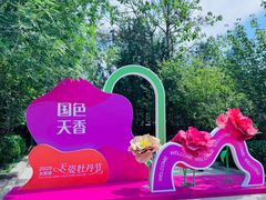 -太阳宫公园