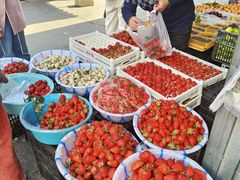 -南坛综合农贸市场