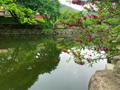 -冶父山国家森林公园