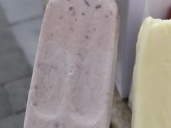 小豆冰棍-康乐