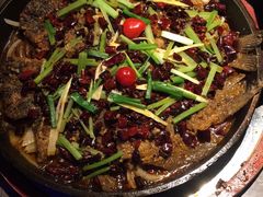 -老板恋上鱼(恒隆广场店)