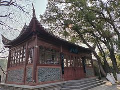 -八大山人梅湖景区