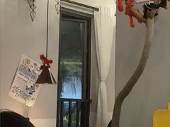 -岛风·台食小馆 ISLAND BISTRO(烟台山店)