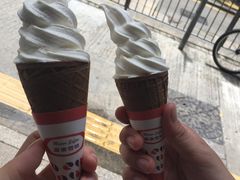 -富豪雪糕车流动点(尖沙咀店)