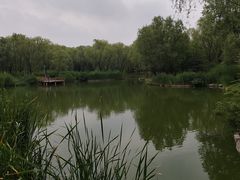 -燕郊植物园