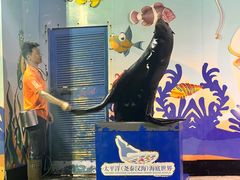 -太平洋海底世界