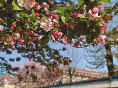 -芦庄子桂顺斋(和平路总店)
