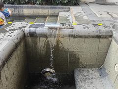 -候鸟水榕庄度假酒店