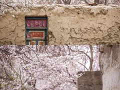 -伊犁河风景区