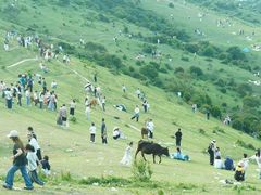 -大姆山草场