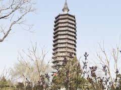 -西海子公园
