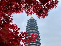-红梅公园