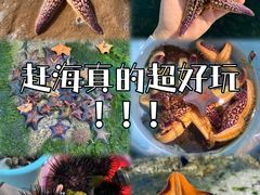 -巧克力渔家.小船海鲜家常菜(万平口店)